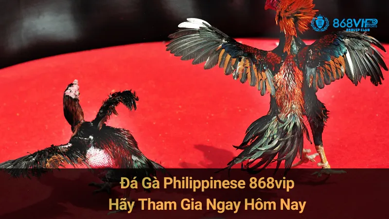 Trung tâm ưu đãi | 868VIP Việt Nam: Ưu đãi lợi nhuận cao, mỗi ngày đều có quà!